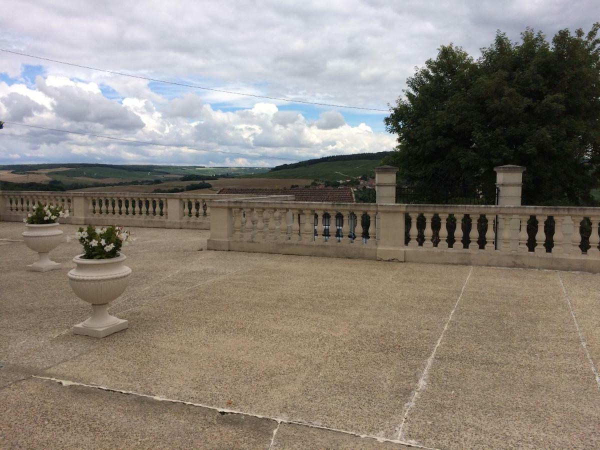 Chambres D'Hotes Karine Smej Châtillon-sur-Marne Esterno foto