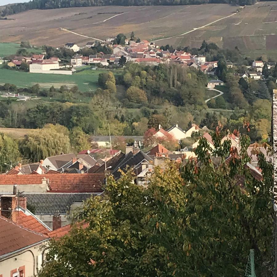 Chambres D'Hotes Karine Smej Châtillon-sur-Marne Esterno foto